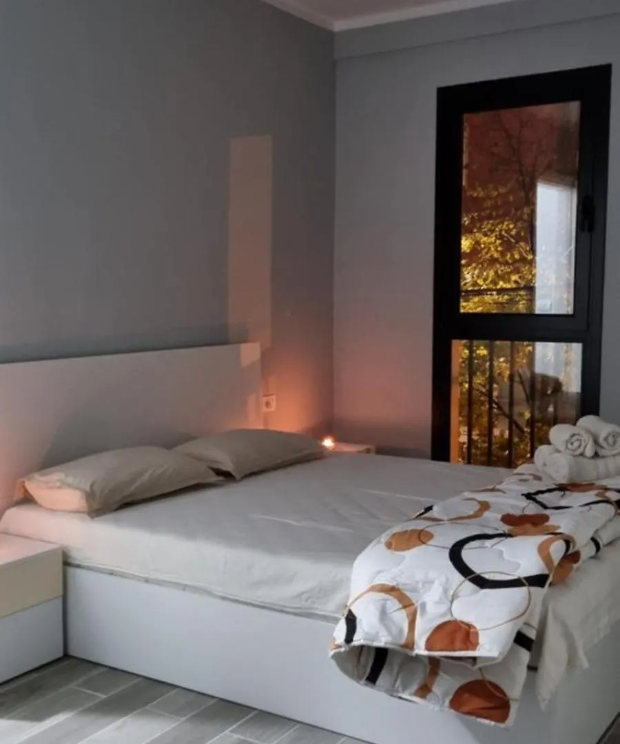 Mine Peza Lux Apartment Tirana 0*,